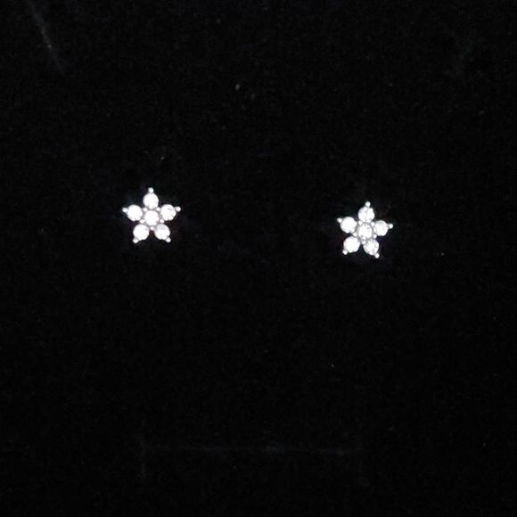 14K White Gold Plated Flower Earrings - Picture 3 of 12